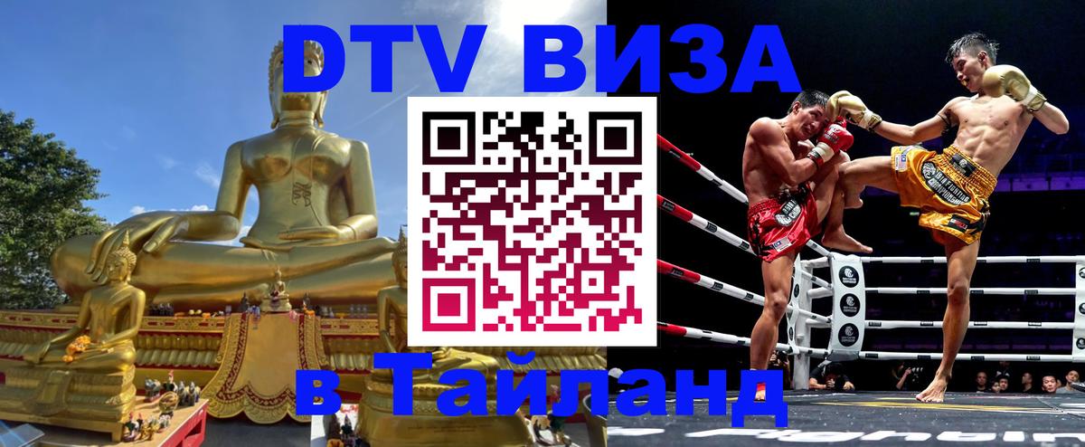 Купить DTV визу в Таиланд Берлин 